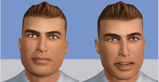 an illustration of the facial animation system